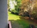 Blick ins Grüne von der Loggia einer 3 Zimmer Wohnung nahe der Donauinsel