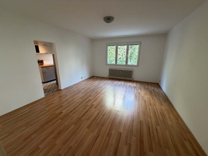 Zentrales Vorzimmer in einer Wohnung zum Verkauf im 5.Bezirk in Wien