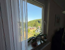 Blick ins Gr&uuml;ne aus dem Wohnzimmer einer Wohnung in Weidling bei Klosterneuburg